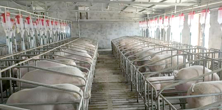 1618197468711083308.jpg p2_s (1).jpg