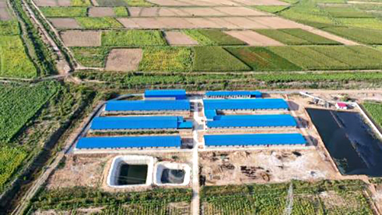 1618197458239034112.jpg p1_s (3).jpg