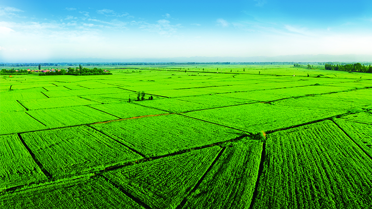 1629860729216008828.jpg 058.jpg