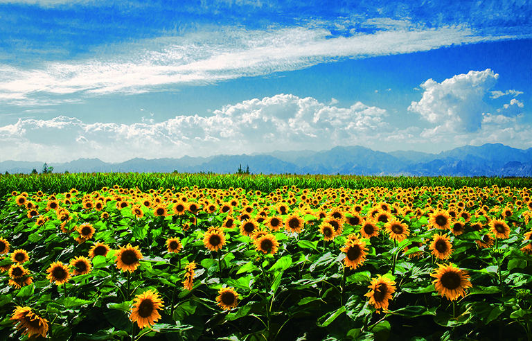 1629860855641057428.jpg 070.jpg