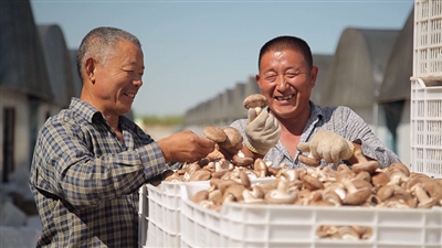 1630459325046094501.jpg p5_b.jpg