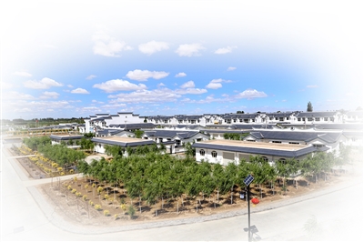 1630459244876069496.jpg 缇庝附涔℃潙.jpg