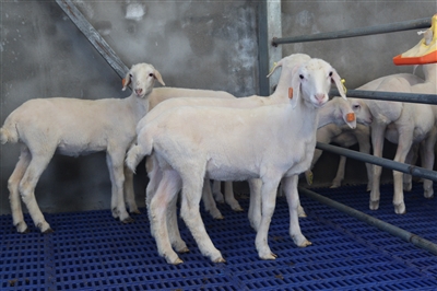 1630977300467064541.jpg p4_b.jpg