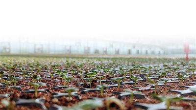 1630979460725020502.jpg p5_b (1).jpg