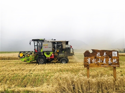 1630977655170006093.jpg p5_b.jpg