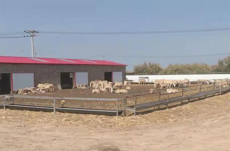 1636077518889036291.jpg 11 (2).jpg