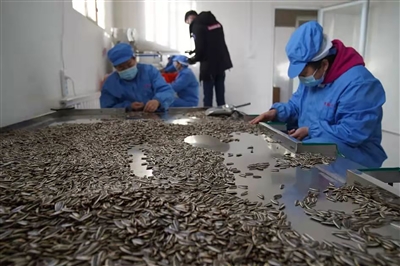 1640830249190057016.jpg p4_b.jpg