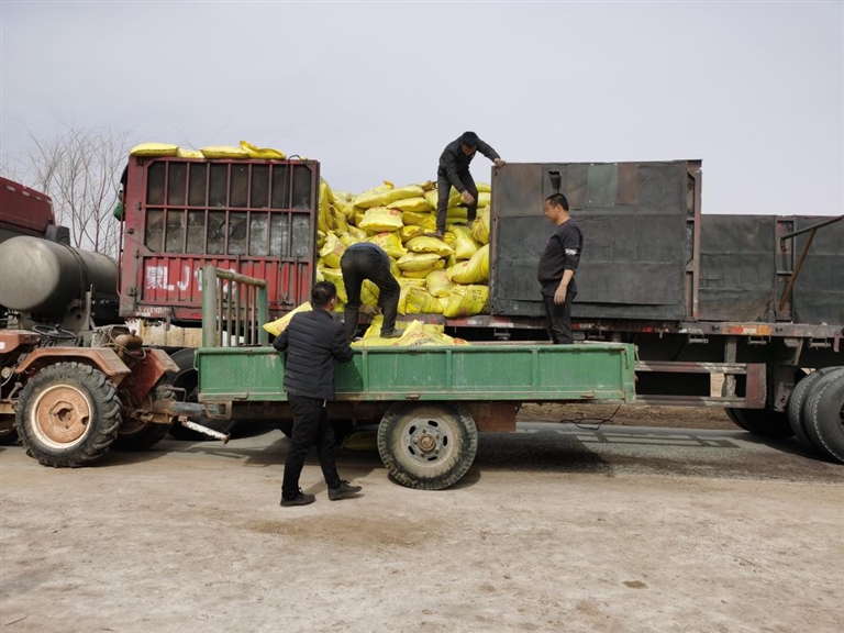 1648689165387055510.jpg p3_s.jpg