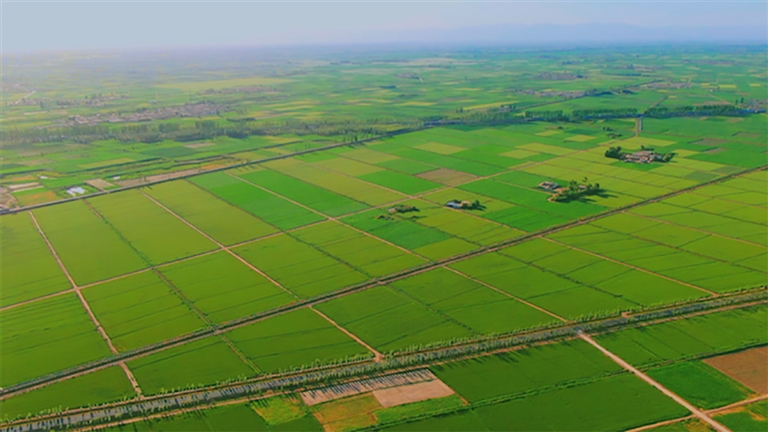 1653441186485007804.jpg 娌冮噹鑹?敯12.jpg