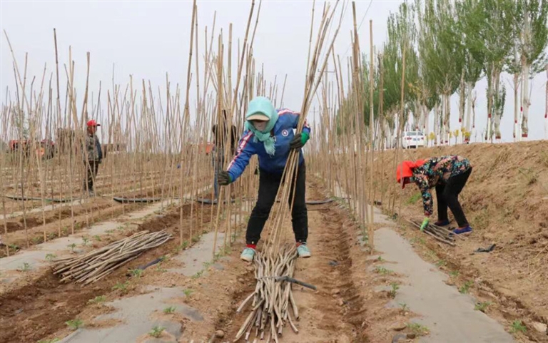 1653537200686078096.jpg 鏉戞皯姝e湪鎼?缓瑗跨孩鏌挎灦.jpg