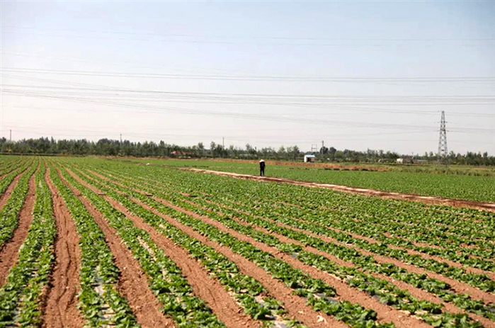 1662082835390006856.jpg 0902002_007_01_s.jpg