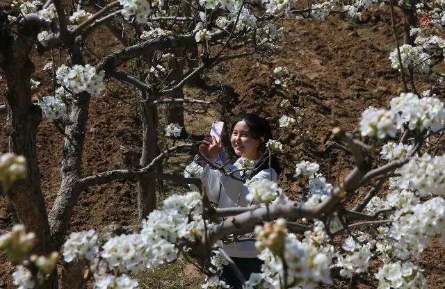 1681959923020062970.jpg 寰?俊鍥剧墖_20230420110446.jpg