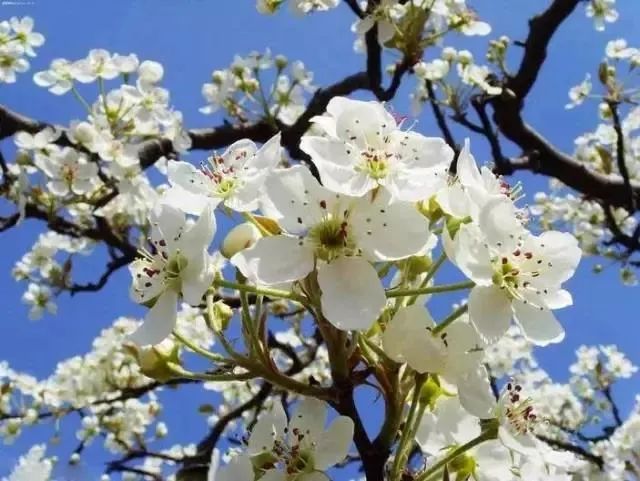 1681959892799009267.jpg 寰?俊鍥剧墖_20230420110423.jpg