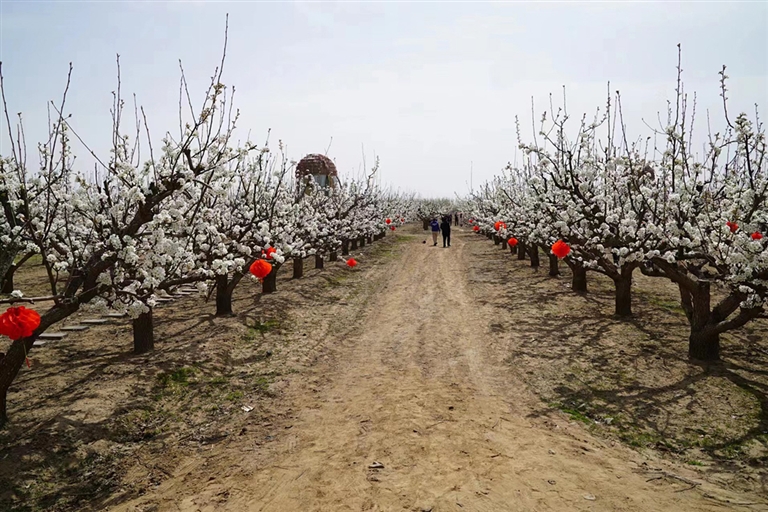 1682580300162012736.jpg 1682580300162012736.jpg