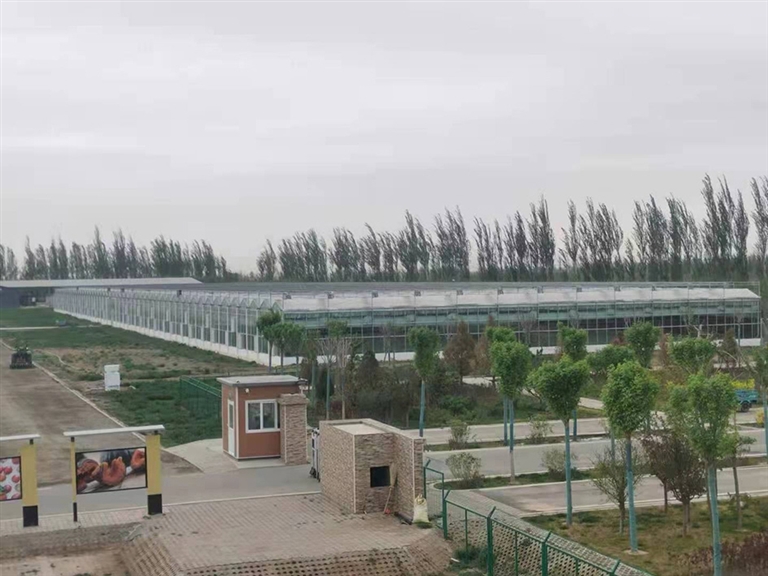 1683691119010085043.jpg 051004锝�05_001_02_s.jpg