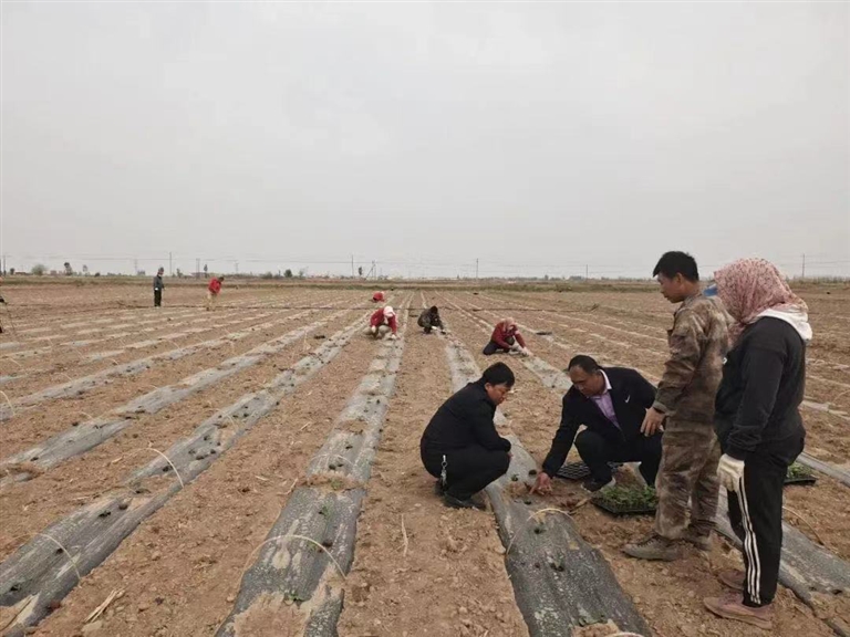 1683688701785026437.jpg 1683688701785026437.jpg