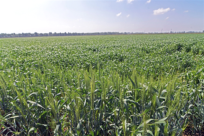 1685524644364094426.jpg 0531001_006_01_s.jpg