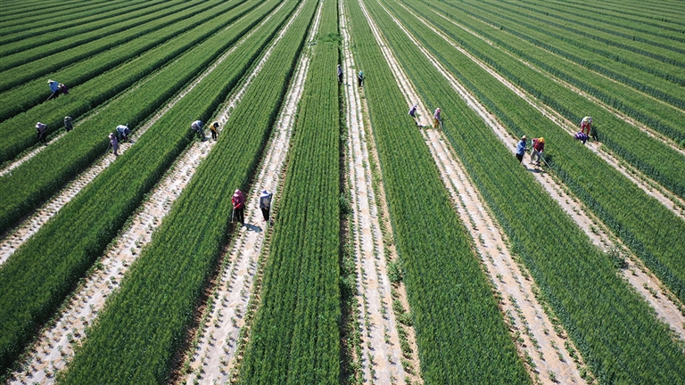 1687660485606004259.jpg 1687660485606004259.jpg