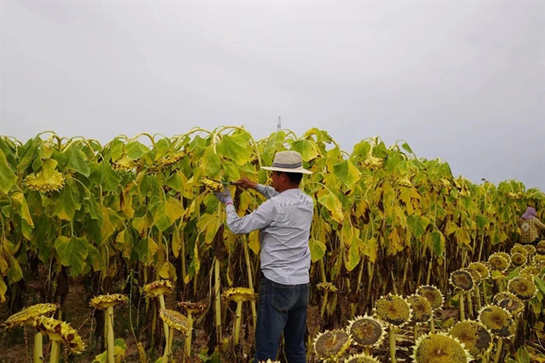 1695351287435028167.jpg 0921007_005_01_s.jpg