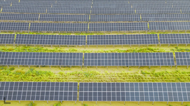 1698807066480087924.jpg 1101005_001_01_s.jpg