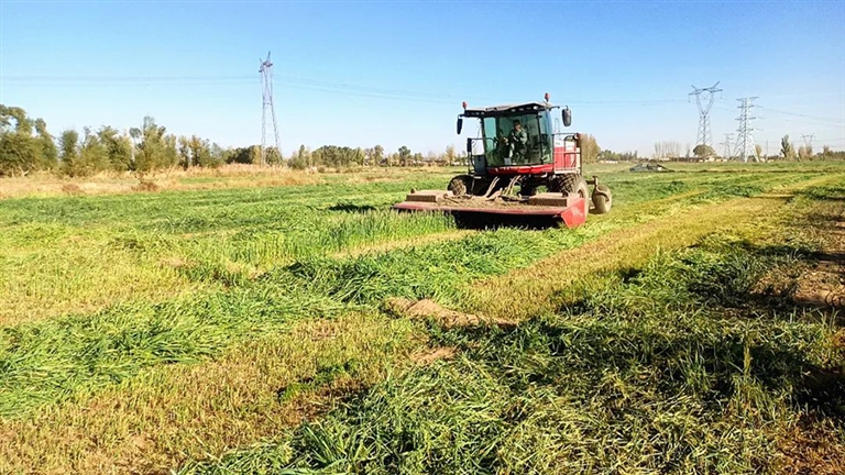 1698807470357052309.jpg 1101006_001_01_s.jpg