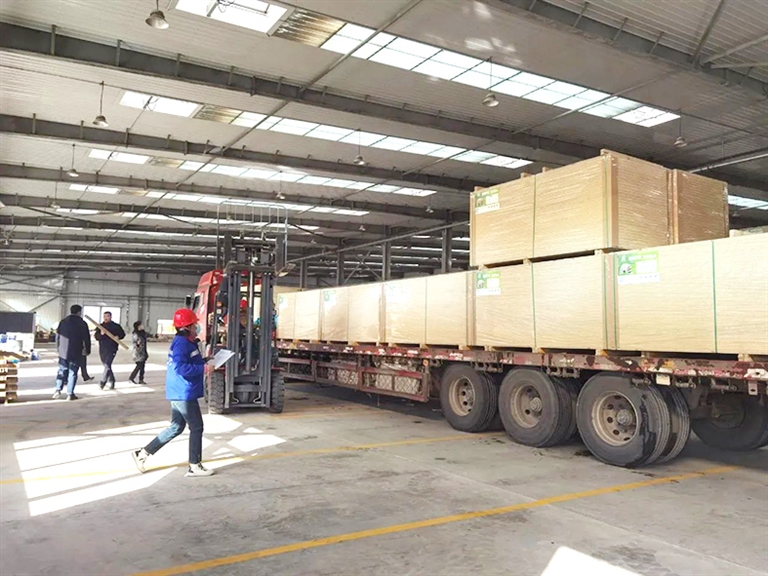 1699408705661081871.jpg 1108002_003_01_s.jpg