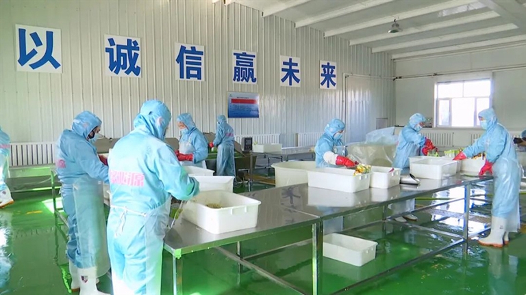 1706064150878024862.jpg 0124006_001_01_s.jpg