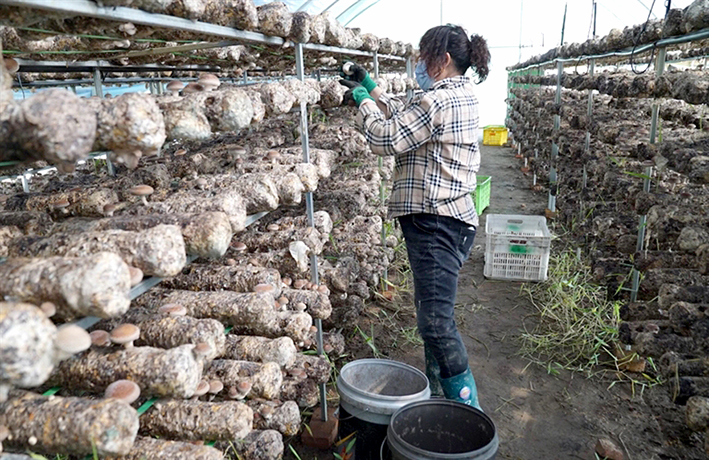 1709779977764011465.jpg 0307007_002_01_s.jpg