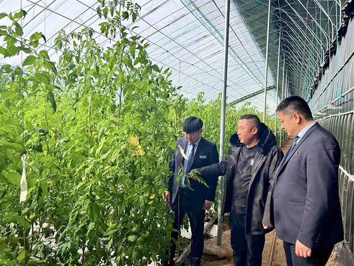 1710383858120027322.jpg 0314007_003_01_s.jpg