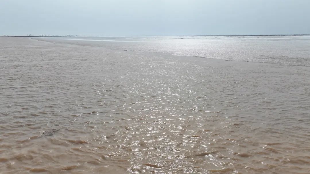 1710722913380063819.jpg 1710722913380063819.jpg