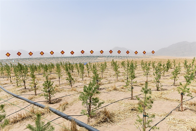 1715304445326025518.jpg 0510001_006_01_s.jpg