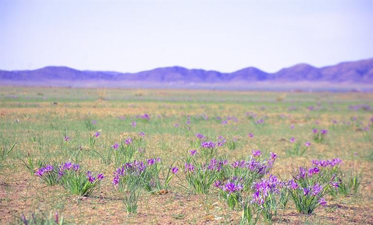 1717036046796053740.jpg 0523005_001_01_s.jpg