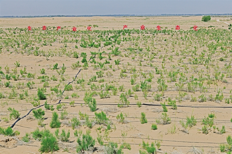 1719452251131022885.jpg 0627001_006_01_s.jpg