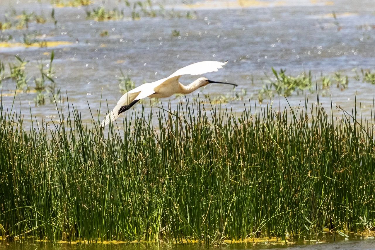 1720666074028022570.jpg 1720666074028022570.jpg