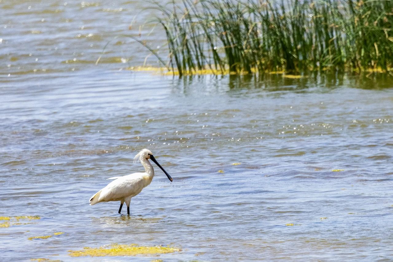 1720666074545091430.jpg 1720666074545091430.jpg