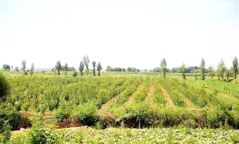 1720753055397012628.jpg 0711007_001_02_s.jpg