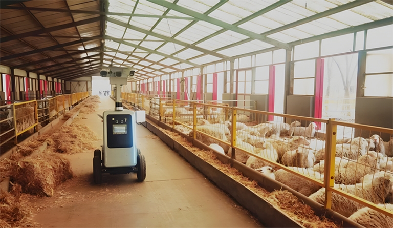 1721100605672065680.jpg 0716005_001_01_s.jpg