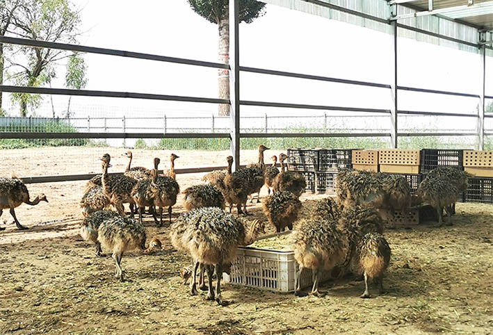 0718005_003_01_s (1).jpg