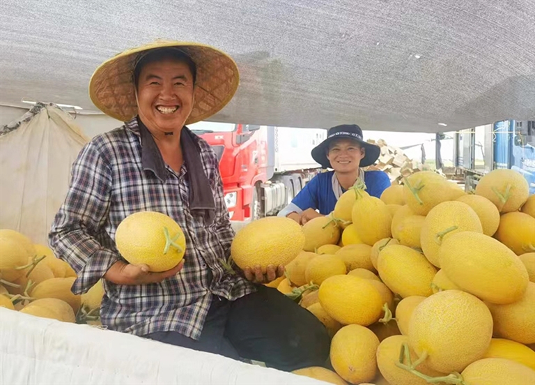 1721273862785019398.jpg 0718007_002_01_s.jpg