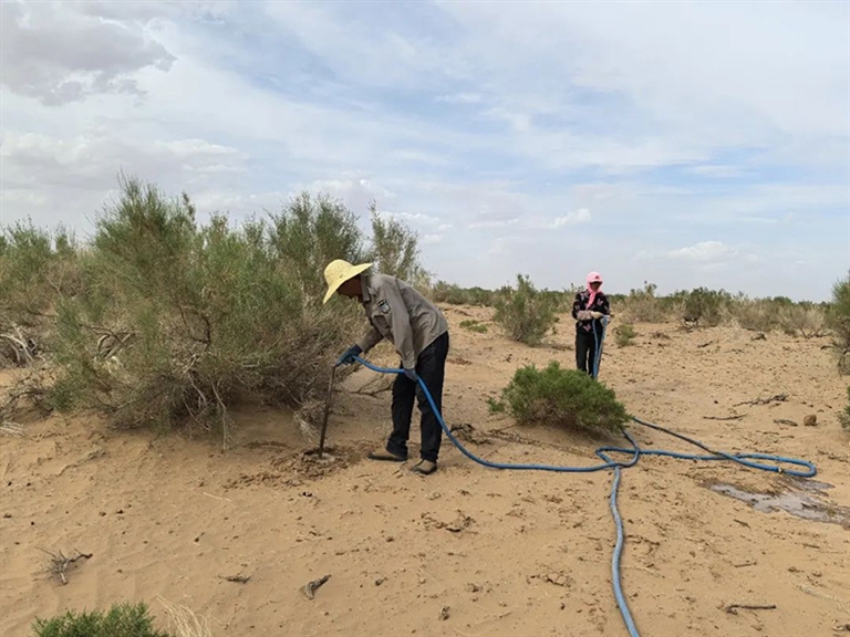 1721960842977057924.jpg 0724005_002_01_s.jpg