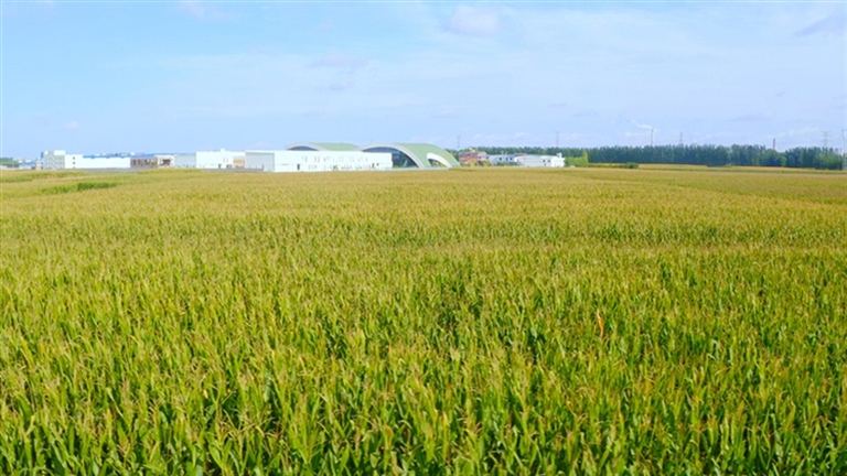 1724205623002050620.jpg 0821002_001_01_s.jpg