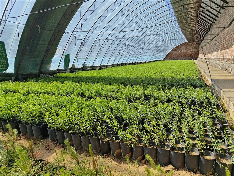 1725848702324041250.jpg 0907001_005_01_s.jpg