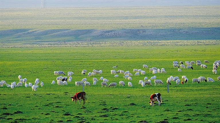 1726713061737017476.jpg 0919003_003_01_s.jpg