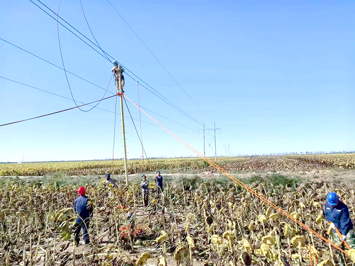 1728526881591039317.jpg 1010003_004_01.jpg