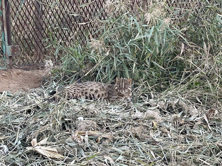 1728870001539085662.jpg 1014002_004_01_s.jpg