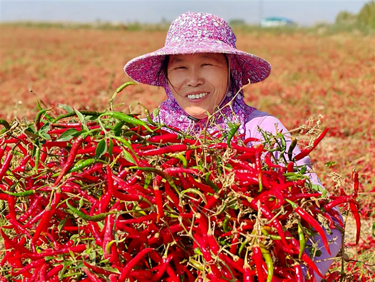 1729215146006002125.jpg 1018004_001_01_s.jpg