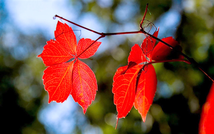 1729215168454073867.jpg 1018004_001_03_s.jpg