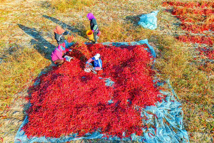 1729215136423044058.jpg 1018001_001_01_s.jpg