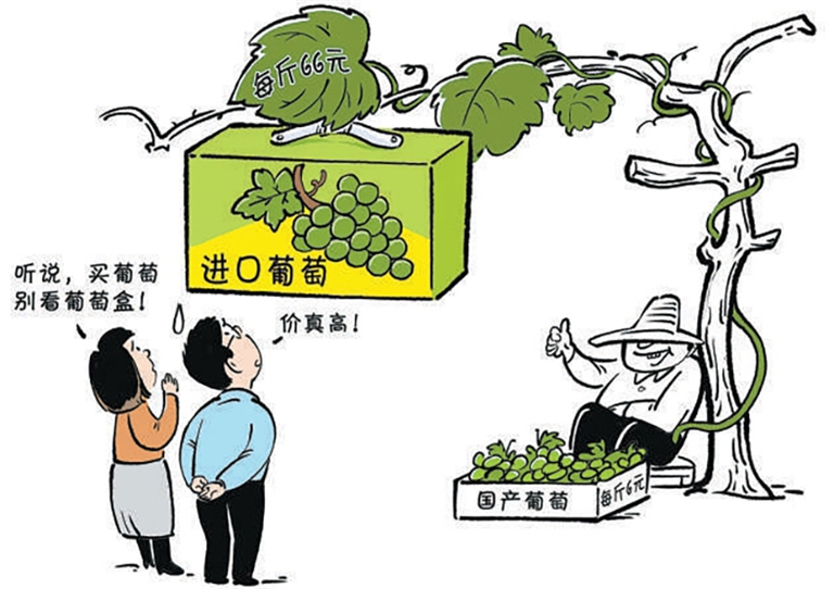 1729736137575033395.jpg bynewb1024007_002_01_s.jpg