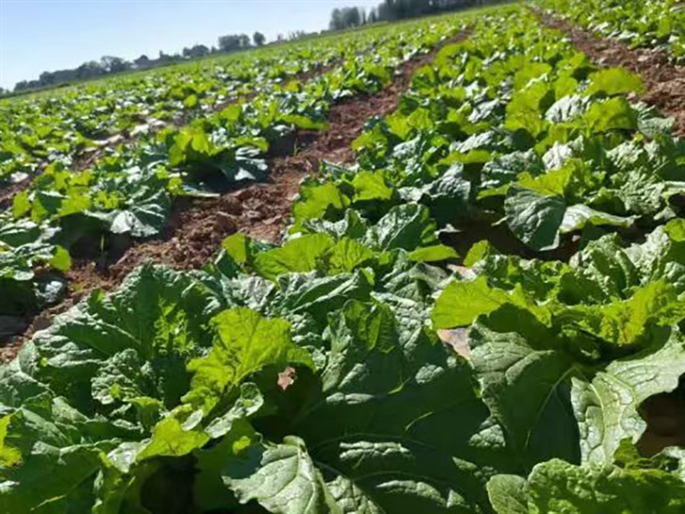 1731031831326073802.jpg 1108002_003_01_s.jpg